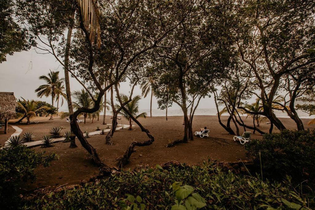 Sansara Surf Yoga & Resort Cambutal Ngoại thất bức ảnh